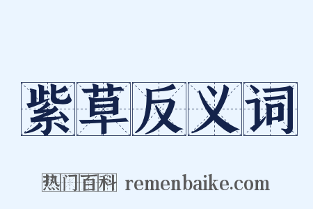 紫草反义词是什么意思的图片